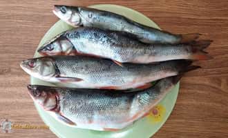 как приготовить рыбу в сметане, рыба со сметаной на сковороде